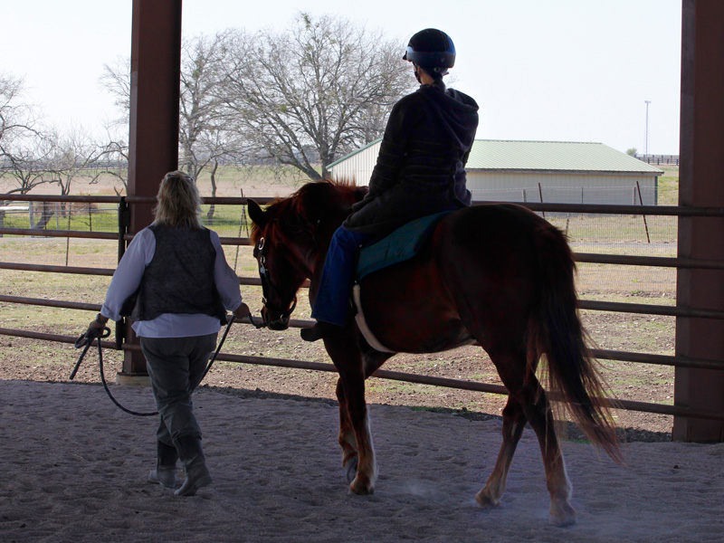 therapist leads equine therapy session