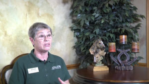 equine therapy expert participates in interview