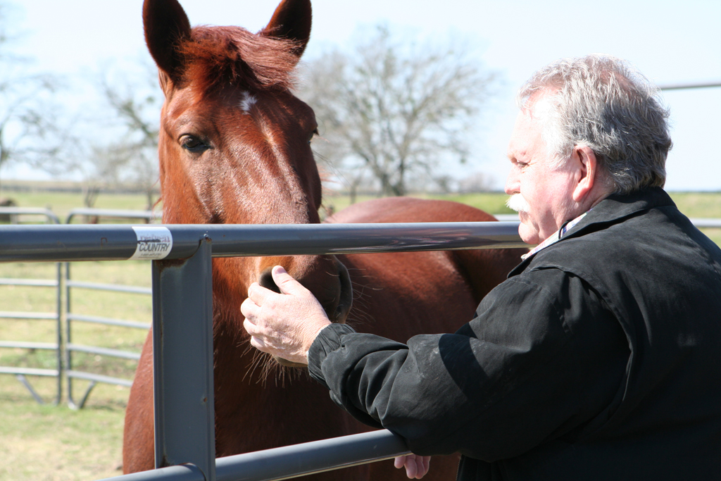 man participates in equine assisted therapy
