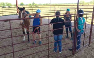 group participates in equine therapy